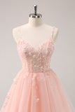 A Line Blush Spaghetti Straps Tulle Corset Sequins Graduation Dress with Appliques