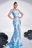 Load image into Gallery viewer, Ligth Blue Mermaid Printed Illusion Sleeves Prom Dress