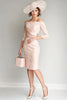 Load image into Gallery viewer, Blush Bodycon Off The Shoulder Lace Ruched Mother of The Bride Dress