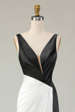Black White Sheath Deep V Neck Long Gala Dress