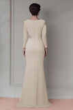 Blush Lace Sheath Mother Of The Bride Dress with Long Sleeves