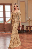 Sparkly Dark Green Mermaid Sequins Long Choir Dress with 3/4 Sleeves