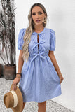 Blue Vertical Stripe A Line Short Summer Dress