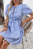 Blue Vertical Stripe A Line Short Summer Dress