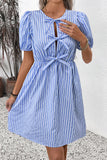 Blue Vertical Stripe A Line Short Summer Dress