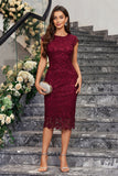 Burgundy Sheath Round Neck Lace Mother of the Bride Dress