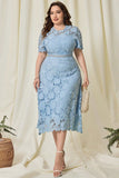 Sky Blue Lace Plus Size Tea-Length Mother of the Bride Dress