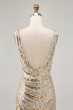 Sparkly Golden Bodycon Sequins V-Neck Graduation Dress