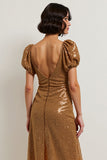 Sparkly Brown Lace A Line Midi Holiday Dress with Sleeves