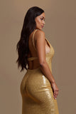 Sparkly Golden A Line V Neck Holiday Dress