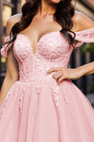 Blush Corset Tulle Short Graduation Dress with Appliques