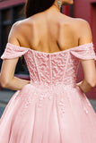 Blush Corset Tulle Short Graduation Dress with Appliques