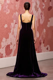 Velvet Simple Dark Purple A Line Long Evening Dress