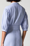 Blue Stripes Sheath V Neck Long Work Dress