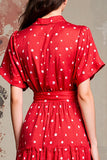 Red Polo Collar A Line Polka Dot Dress