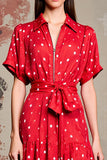 Red Polo Collar A Line Polka Dot Dress