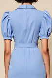 Blue Sheath Notched Lapel Wedding Guest Dress with Sleeves