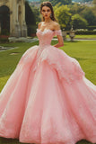 Princess Pink Off the Shoulder Ball Gown Quinceanera Dress