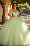 Glitter Light Green Ball Gown Long Tulle Quinceanera Dress with Appliques