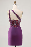 Dark Purple One Shoulder Bodycon Graduation Dress with Appliques