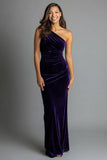 Plum One Shoulder Sheath Velvet Long Formal Dress
