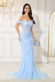 Off-the-Shoulder Light Mermaid Corset Long Evening Dress