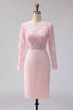 Sheath Blush Pink Appliqued Midi Mother of the Bride Dress with Long Sleeves