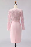 Sheath Blush Pink Appliqued Midi Mother of the Bride Dress with Long Sleeves