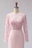 Sheath Blush Pink Appliqued Midi Mother of the Bride Dress with Long Sleeves