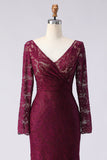 Cabernet Lace Mermaid V-Neck Appliqued Long Mother of the Bride Dress