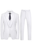 Men's Violet Single Breasted Notched Lapel 3 Pieces Prom Suits