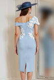 Light Blue One Shoulder Appliqued Sheath Mother Of The Bride Dress