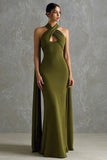 Olive Halter Sheath Chiffon Long Formal Dress