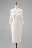 Light Blue Bateau Neck Bodycon Appliqued Midi Mother of the Bride Dress with 3/4 Sleeves