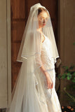Long Ivory Tulle Wedding Veil