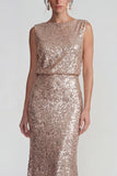 Champagne Sequins Sheath Open Back Long Evening Dress