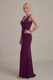 Grape Sheath V Neck Mother of the Bride Dress with Cloak