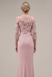 Blush Sheath Bateau Neck Appliqued Long Mother Of the Bride Dress with 3D Flowers