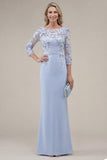 Blush Sheath Bateau Neck Appliqued Long Mother Of the Bride Dress with 3D Flowers