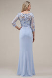 Blush Sheath Bateau Neck Appliqued Long Mother Of the Bride Dress with 3D Flowers