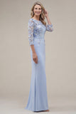 Blush Sheath Bateau Neck Appliqued Long Mother Of the Bride Dress with 3D Flowers