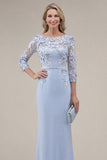 Blush Sheath Bateau Neck Appliqued Long Mother Of the Bride Dress with 3D Flowers