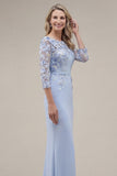 Blush Sheath Bateau Neck Appliqued Long Mother Of the Bride Dress with 3D Flowers