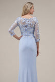 Blush Sheath Bateau Neck Appliqued Long Mother Of the Bride Dress with 3D Flowers