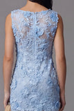 Blue Tulle Round Neck Bodycon Mini Floral Dress with Lace Appliques