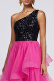 Fuchsia and Black One Shoulder Sequin Ruffled A Line Midi Dress