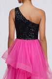 Fuchsia and Black One Shoulder Sequin Ruffled A Line Midi Dress