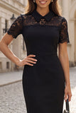 Black Sheath Lace Short Sleeves Midi Work Dress