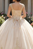 Champagne Appliqued V Neck Ball Gown Quinceanera Dress