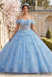 Ball Gown Off the Shoulder Blue Pearls Corset Quinceanera Dress with 3D Flowers